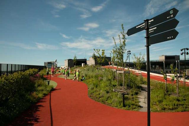 Gull og grønne leier